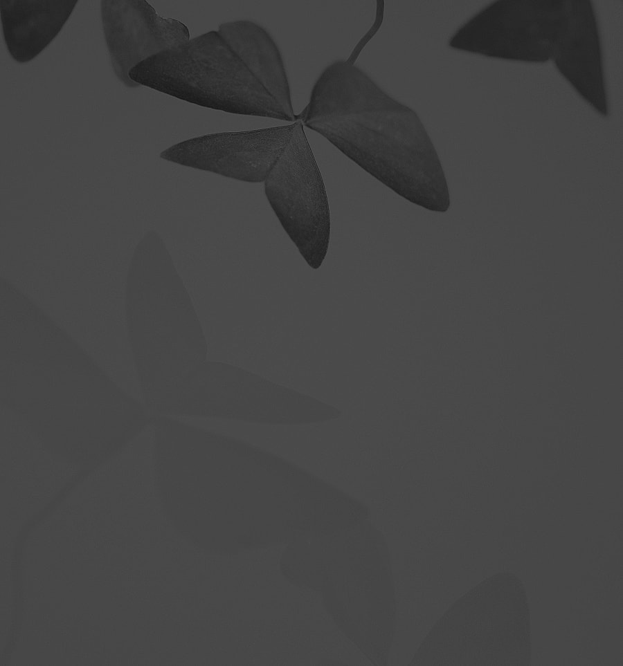 Abstract leaves in soft monochrome tones.
