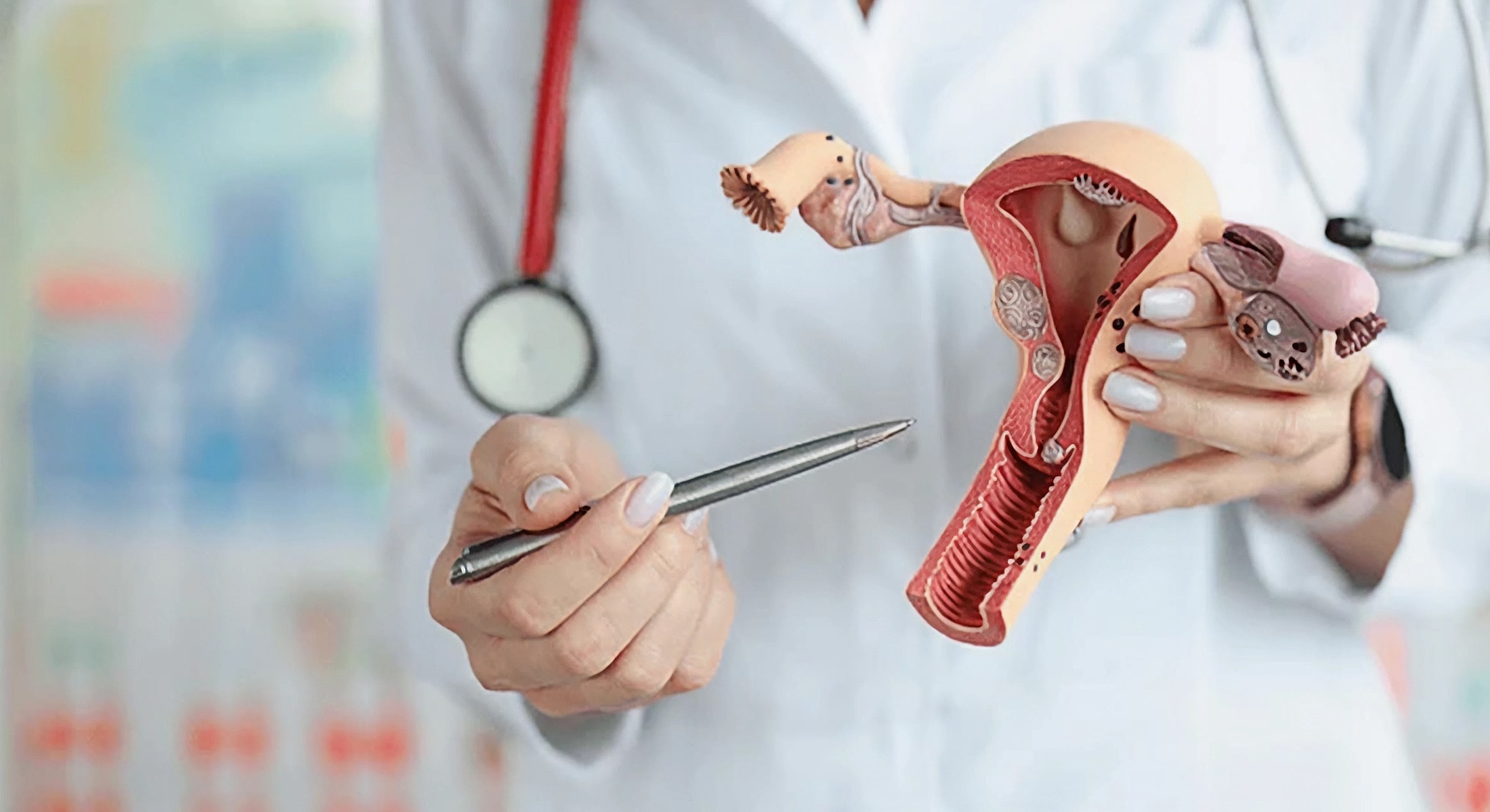 Medical professional explaining female reproductive anatomy.